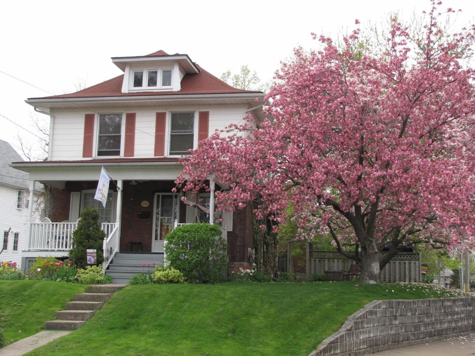 Strathaird Bed And Breakfast Niagara Falls Exterior photo